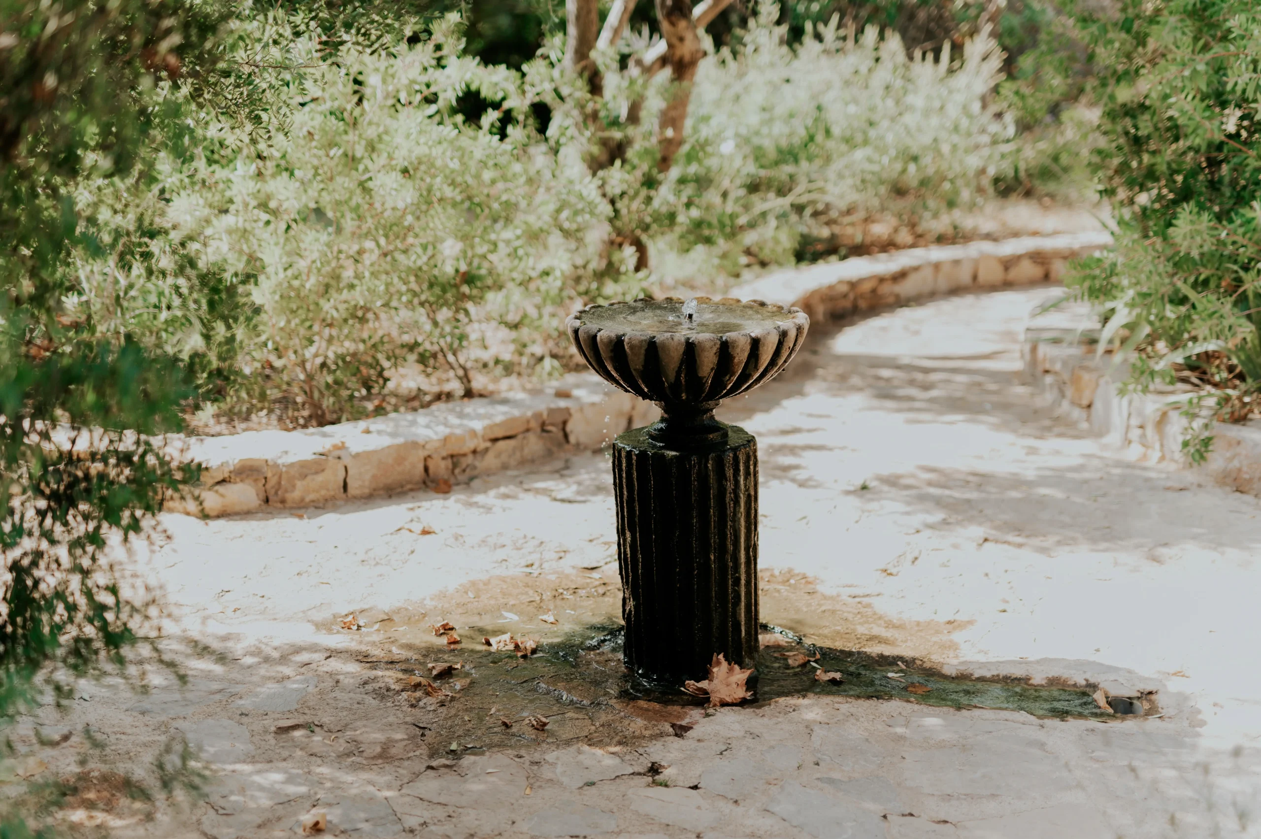 Photographe de mariage en Provence et sur la Côte d’Azur.