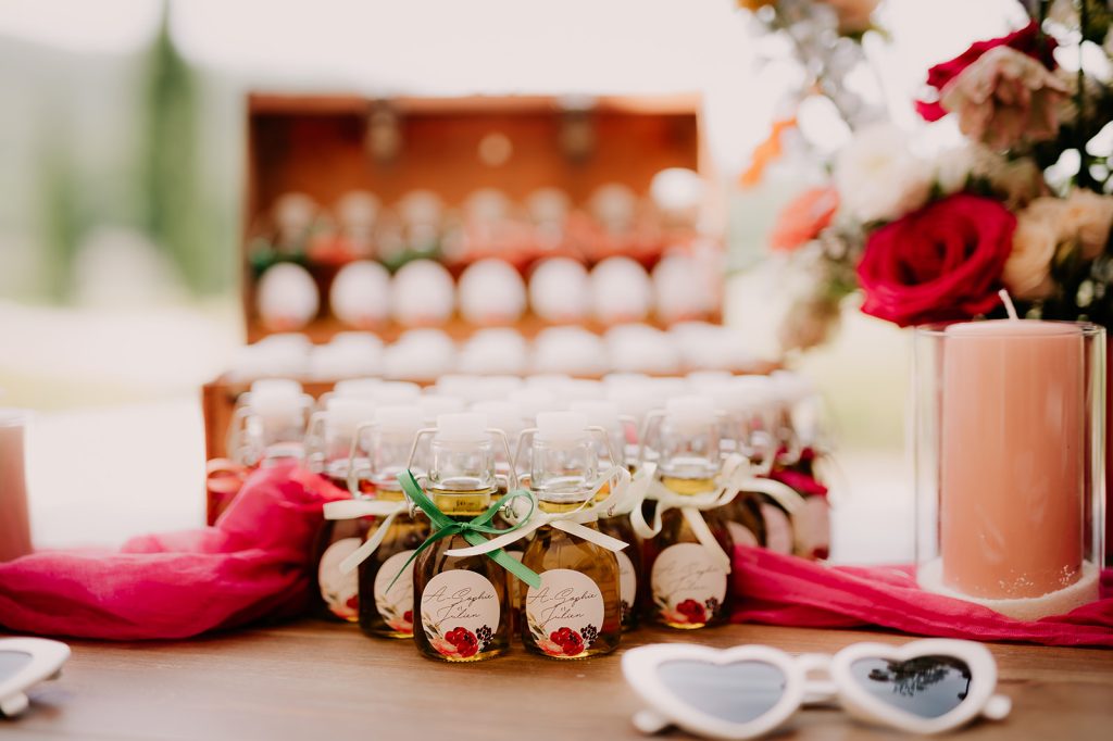 Photographe mariage Domaine de la Rotonde Provence Alpes Côte