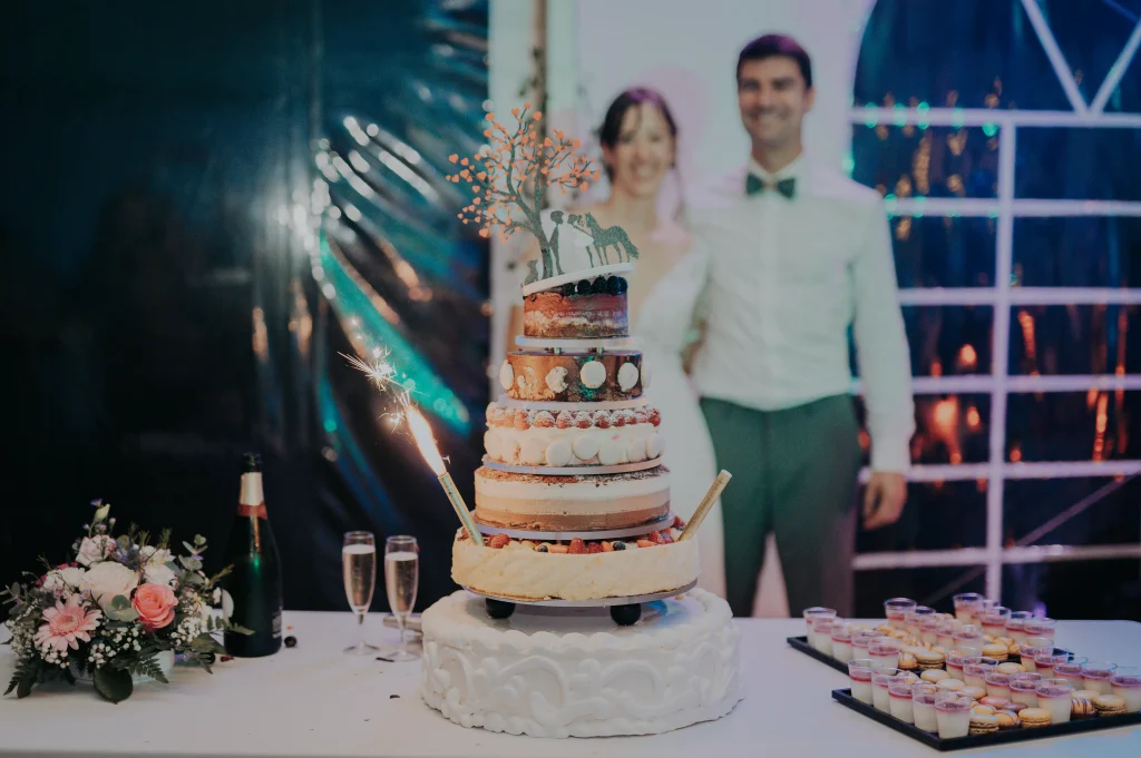 Photographe mariage Domaine des Courmettes - Alpes-Maritimes PACA