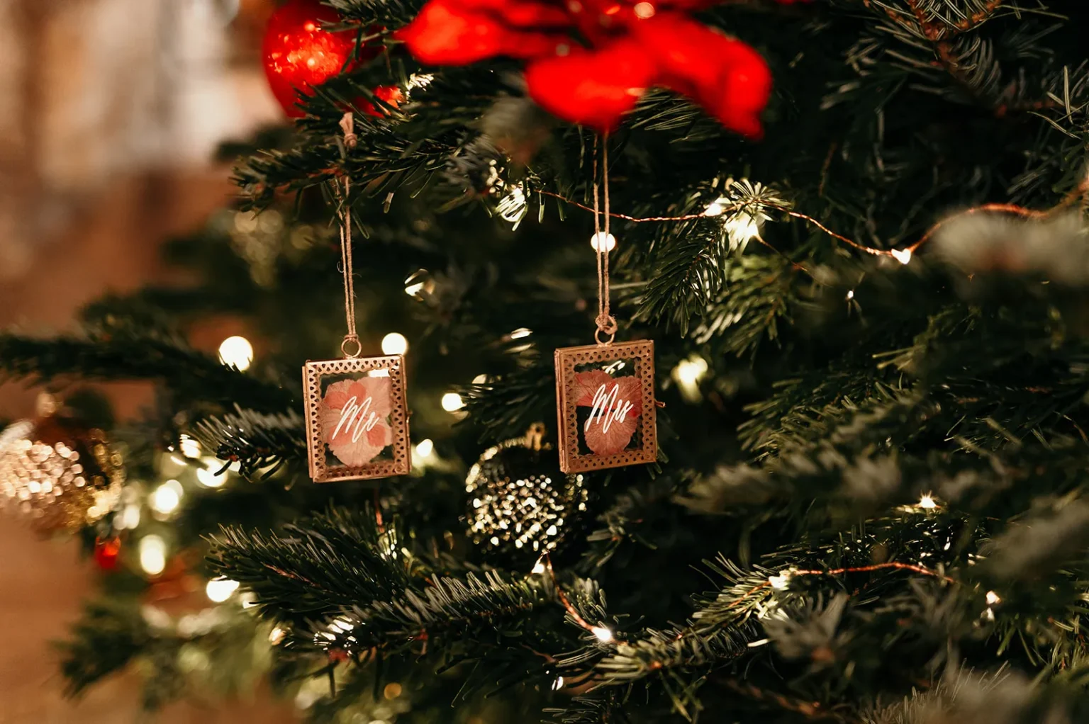 Photographe - mariage de Noel en Provence