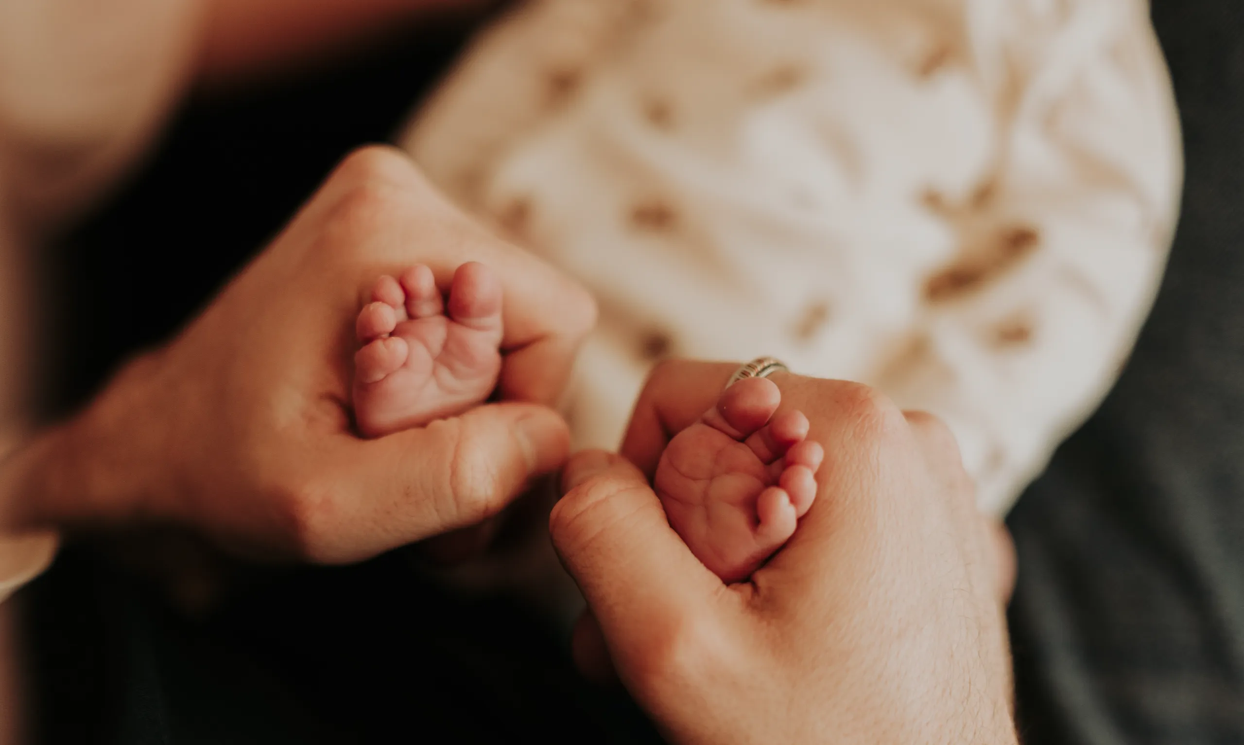 Photographe naissance Antibes 06 -7
